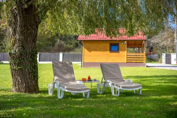Ležaljke pod vrbom na travnjaku